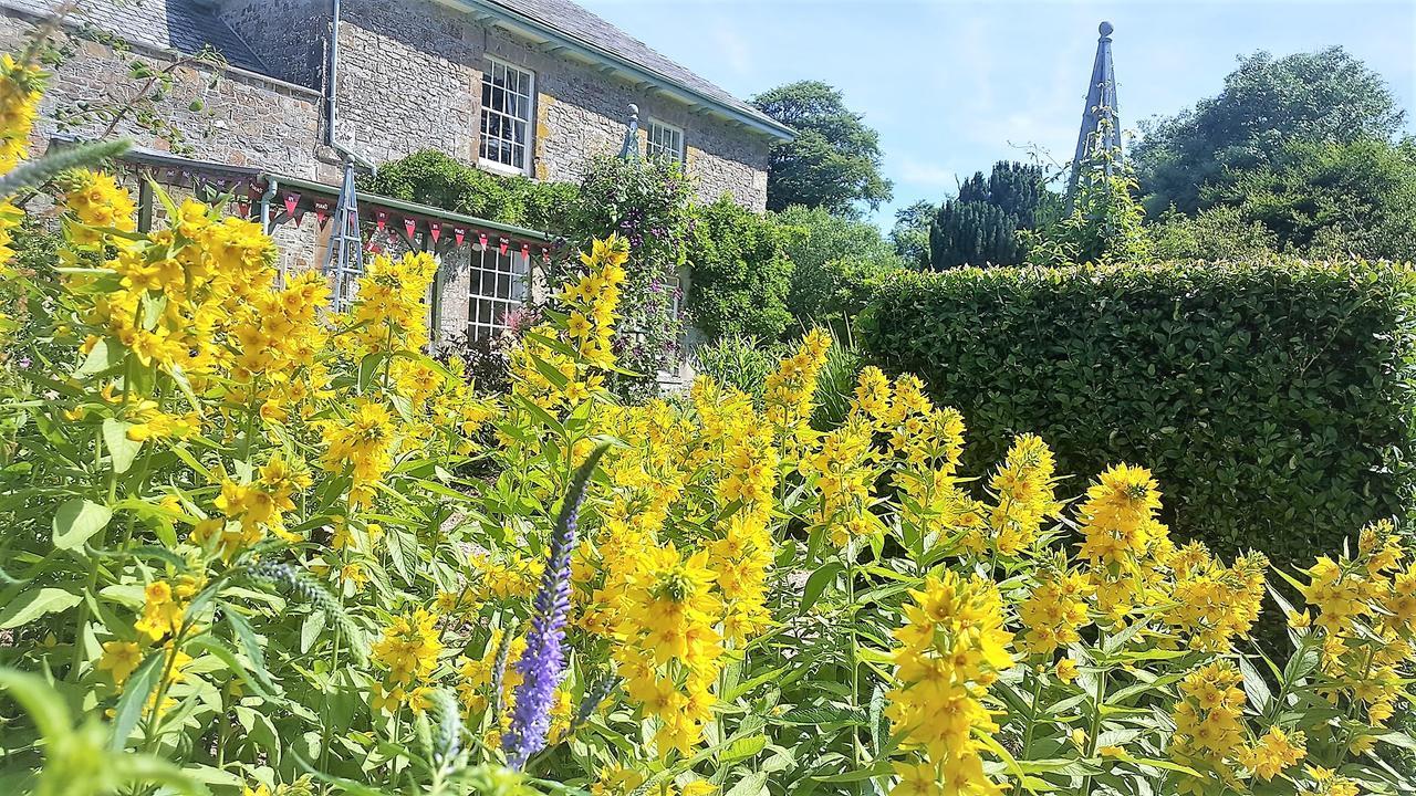 Glebe House Cottages Bude Εξωτερικό φωτογραφία